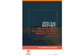Gr renewables in me report trust re cover 450