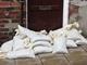 Sandbags