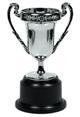 Award trophy