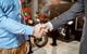 motorcycle partnership handshake